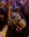 _michaelanee Altpins Profile Picture