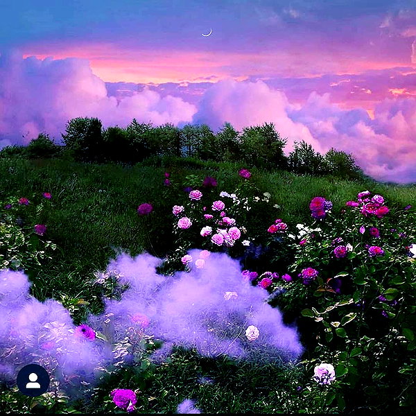 _michellemav_ instagram image archive image