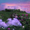 _michellemav_ Altpins Profile Picture
