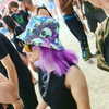_michellemav_ Altpins Profile Picture