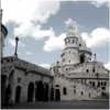 _monixque_ Altpins Profile Picture