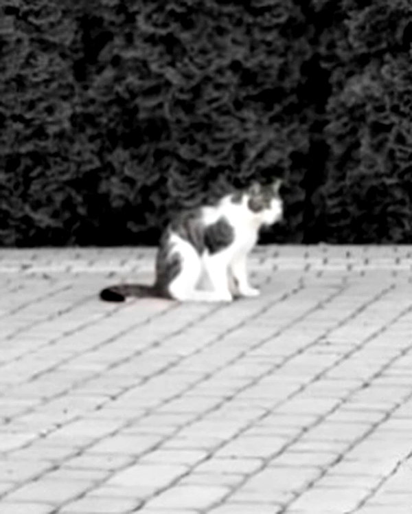 _monixque_ instagram image archive image