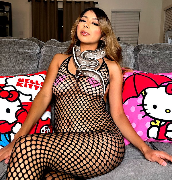 _onlyzayra _onlyzayra archive image