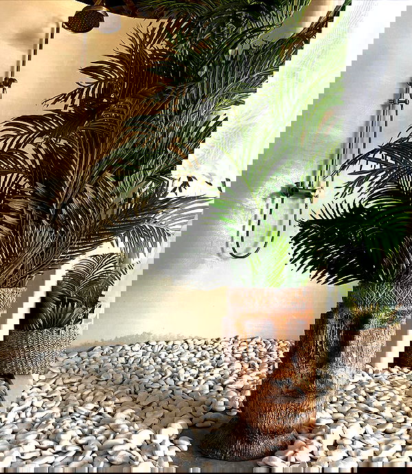 _tero._ image ~ Altpins