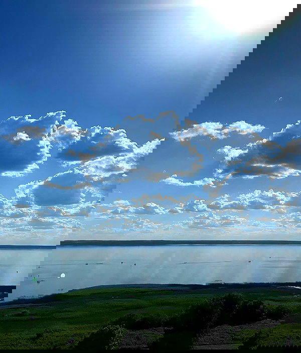 _tero._ image ~ Altpins