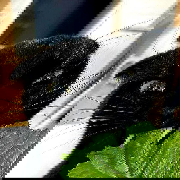 _tero._ image ~ Altpins