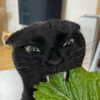 _tero._ Altpins Profile Picture