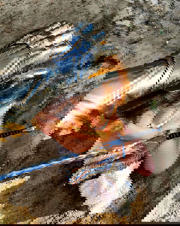 _tero._ image ~ Altpins