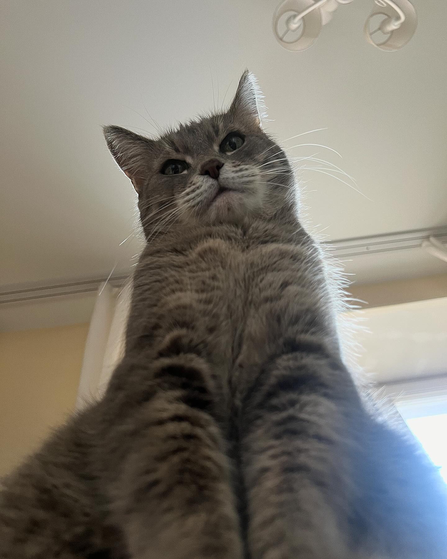 _tero._ instagram image archive image