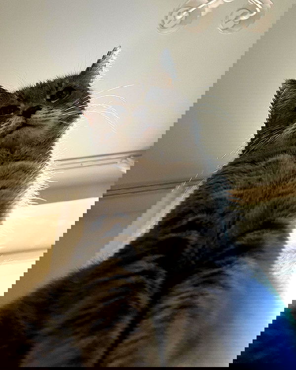 _tero._ image ~ Altpins