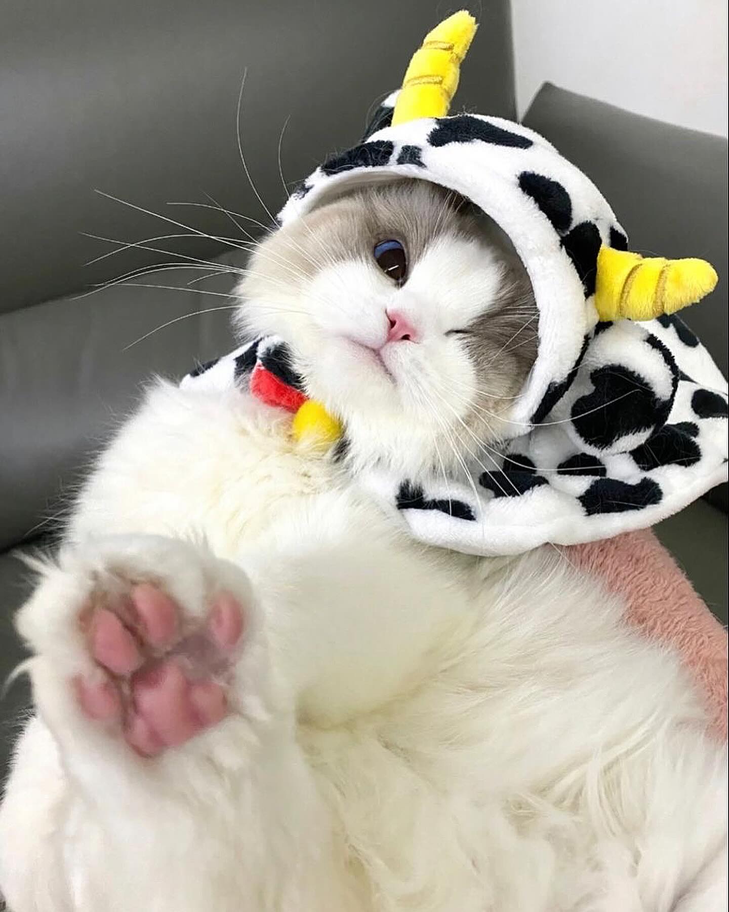 _tero._ instagram image archive image