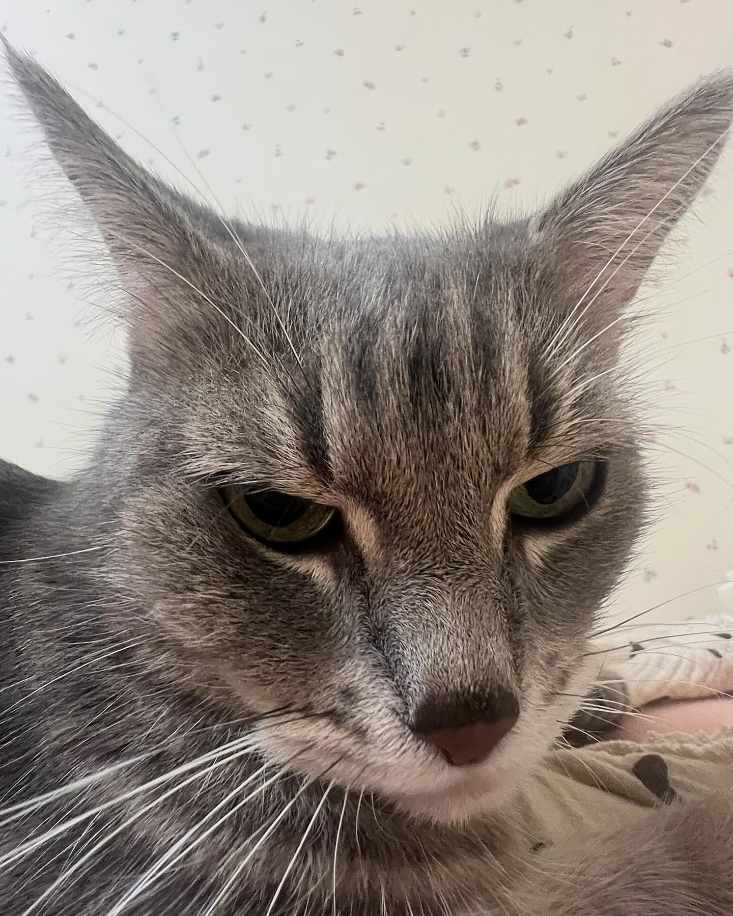 _tero._ instagram image archive image