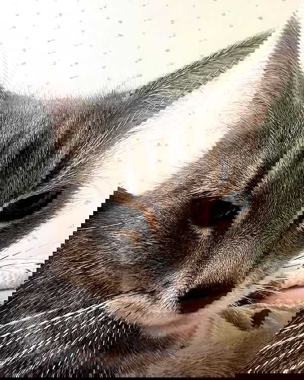 _tero._ image ~ Altpins