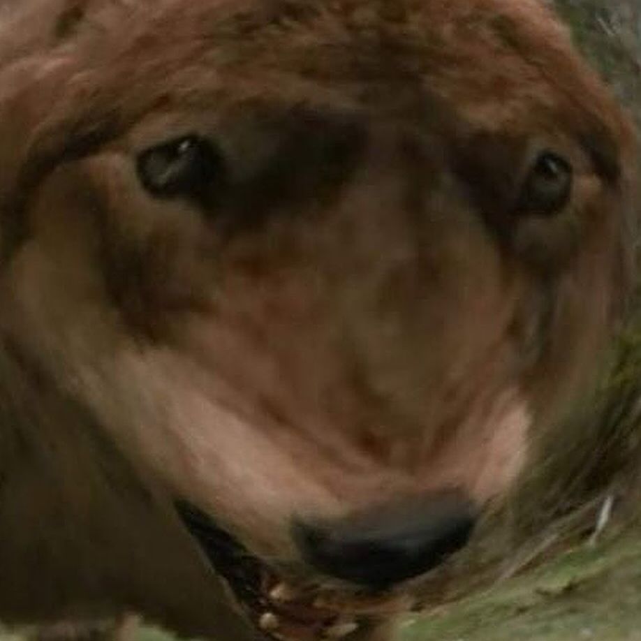 _tero._ instagram image archive image