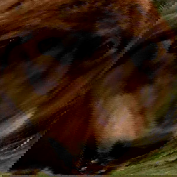 _tero._ image ~ Altpins