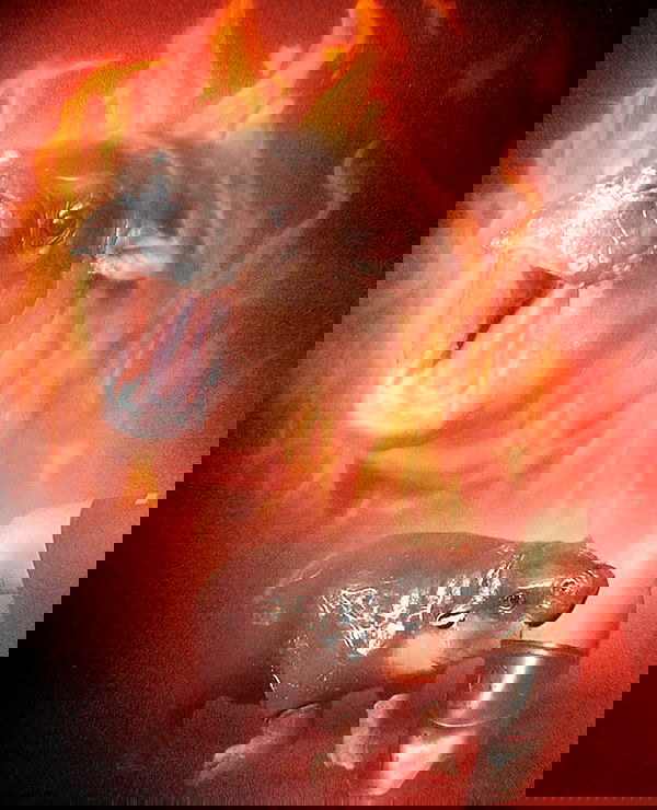 _tero._ image ~ Altpins