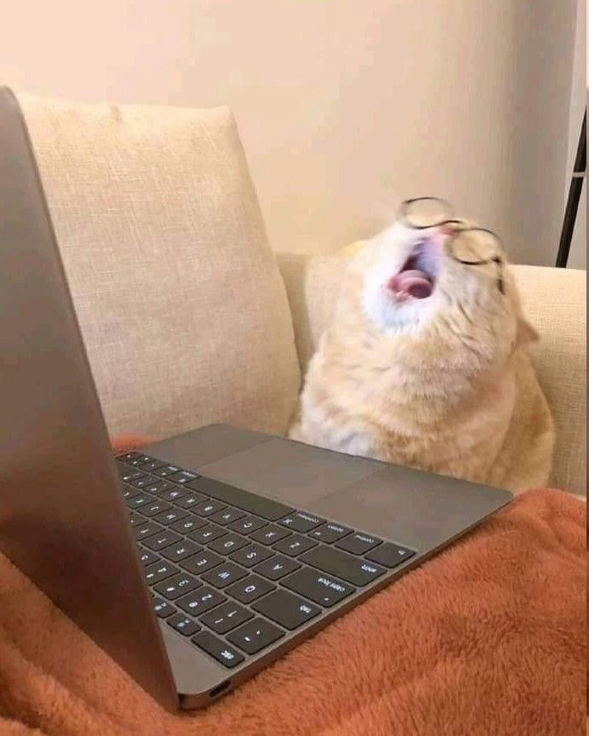 _tero._ instagram image archive image