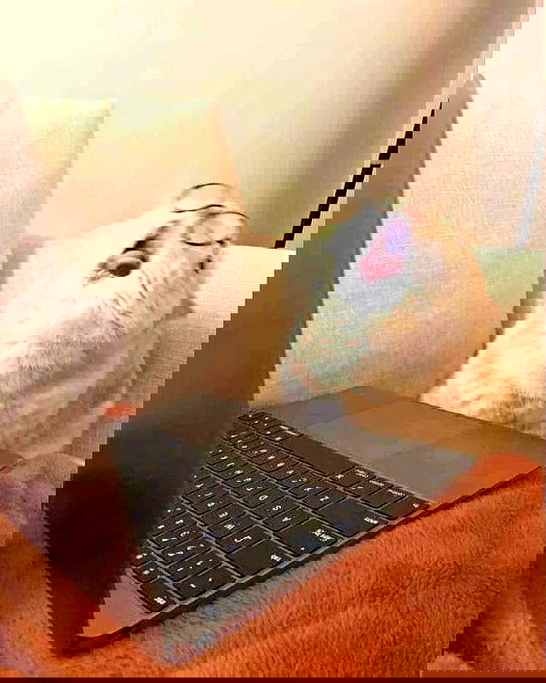 _tero._ image ~ Altpins