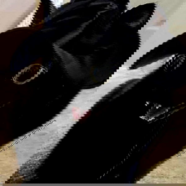 _tero._ image ~ Altpins