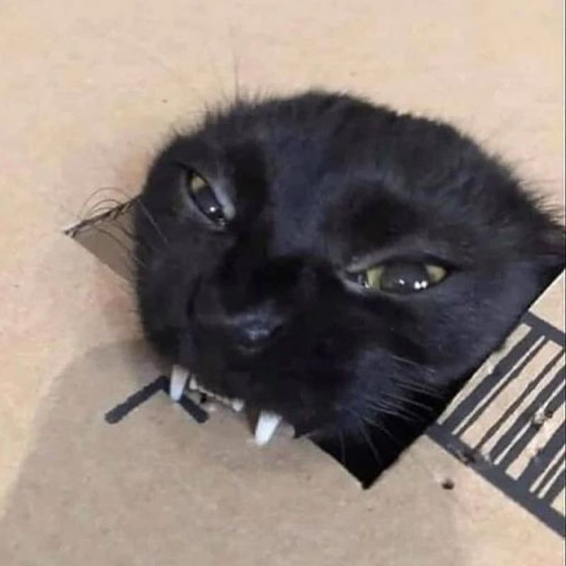 _tero._ instagram image archive image