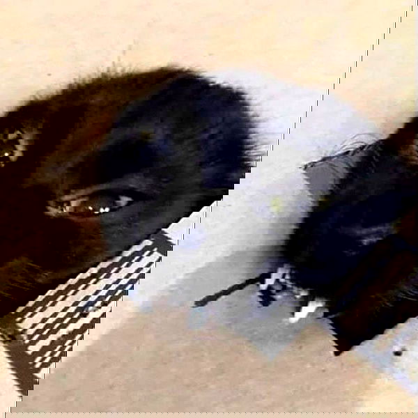 _tero._ image ~ Altpins