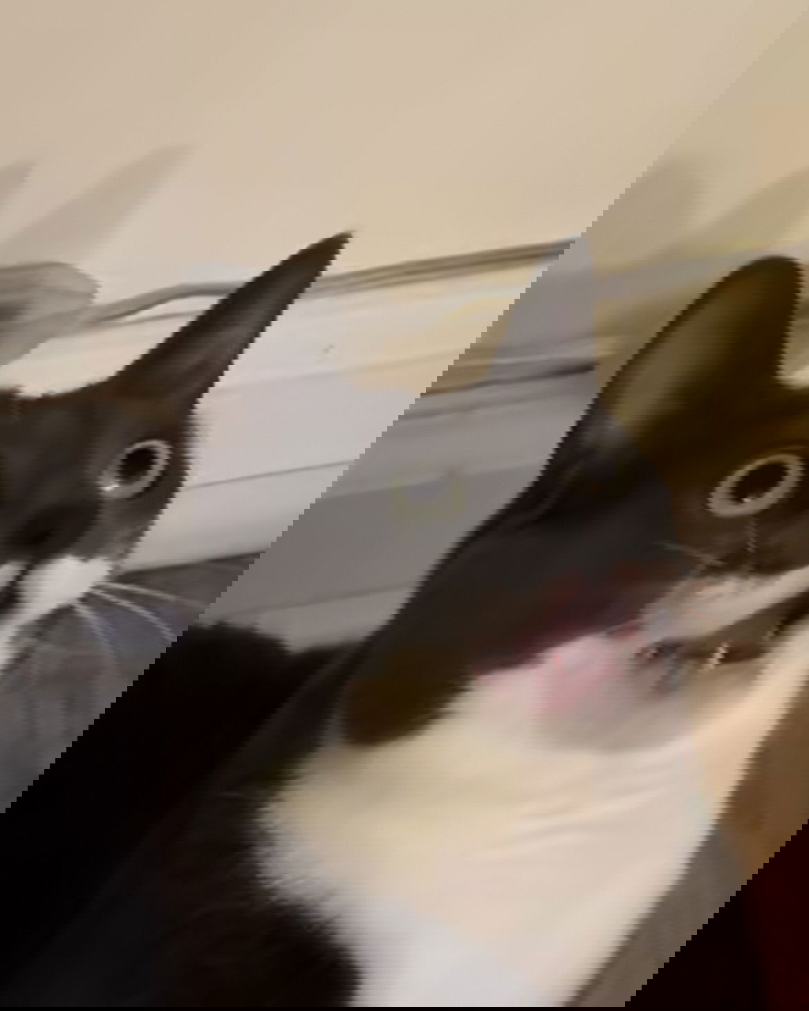 _tero._ instagram image archive image