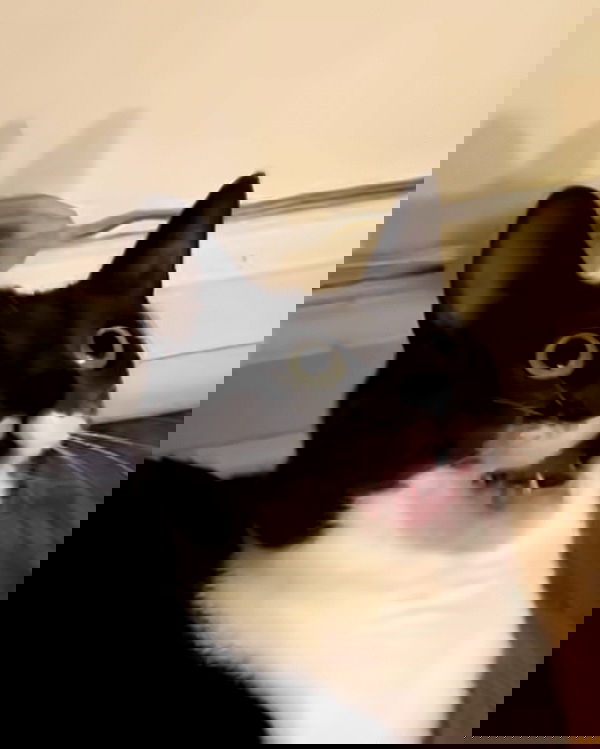 _tero._ image ~ Altpins