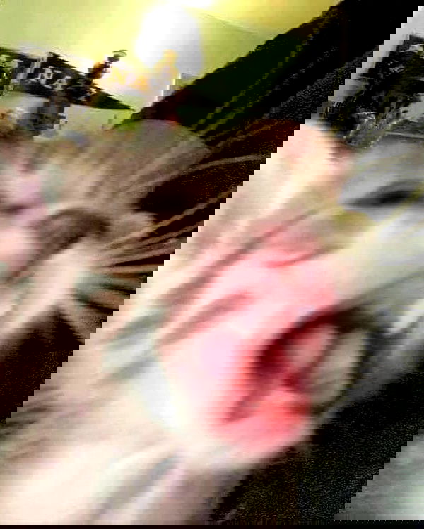 _tero._ image ~ Altpins