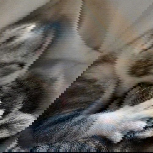 _tero._ instagram image archive image