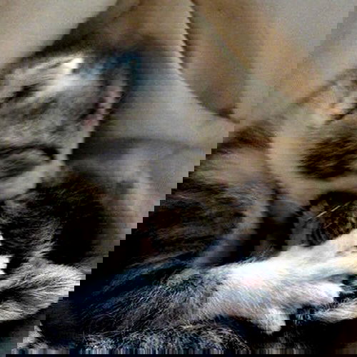 _tero._ image ~ Altpins