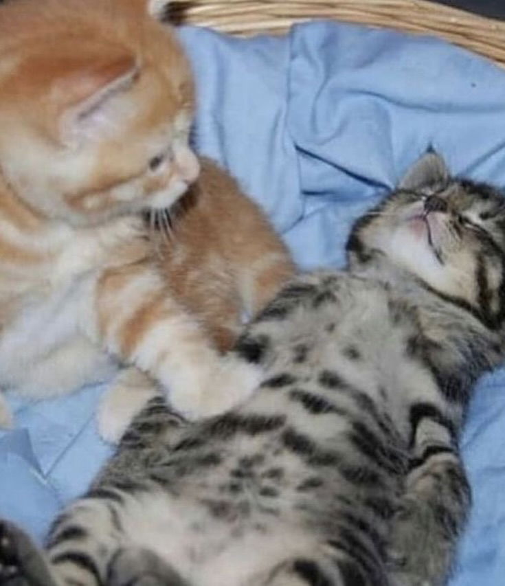 _tero._ instagram image archive image