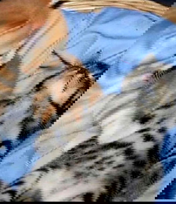 _tero._ image ~ Altpins