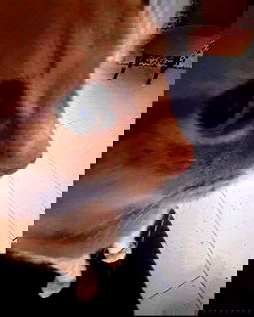 _tero._ image ~ Altpins