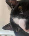 _undeadem_ Altpins Profile Picture