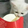_undeadem_ Altpins Profile Picture