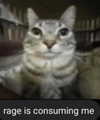 _undeadem_ Altpins Profile Picture