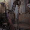 _xixiyx_ Altpins Profile Picture
