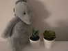 _xixiyx_ Altpins Profile Picture
