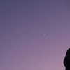 _xixiyx_ Altpins Profile Picture