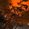 _xixiyx_ Altpins Profile Picture