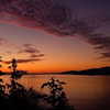 _xixiyx_ Altpins Profile Picture