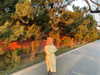 _xixiyx_ Altpins Profile Picture