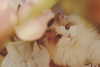 _xixiyx_ Altpins Profile Picture