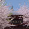 _xixiyx_ Altpins Profile Picture