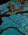 _xixiyx_ Altpins Profile Picture