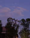 _xixiyx_ Altpins Profile Picture