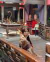 _xixiyx_ Altpins Profile Picture