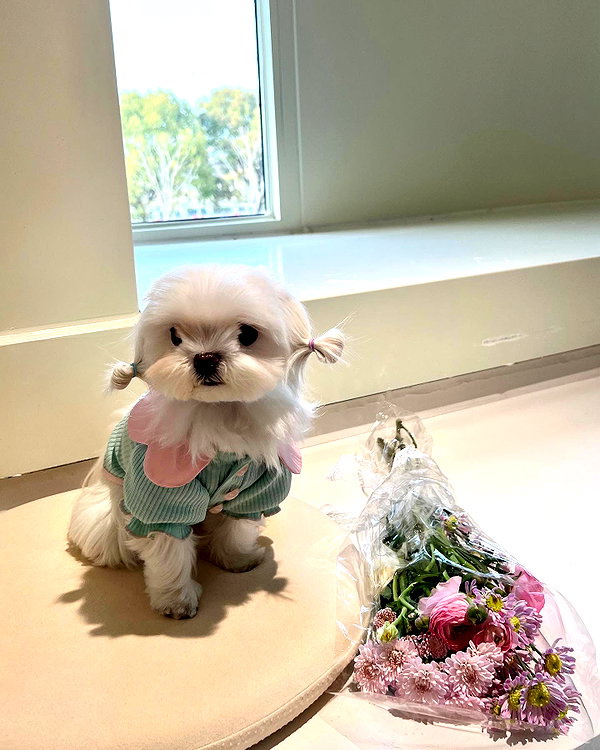 _xixiyx_ instagram image archive image