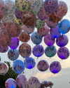_xixiyx_ Altpins Profile Picture