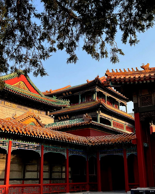 _xixiyx_ instagram image archive image